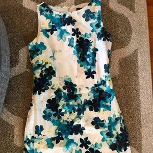 Ann Taylor Dress